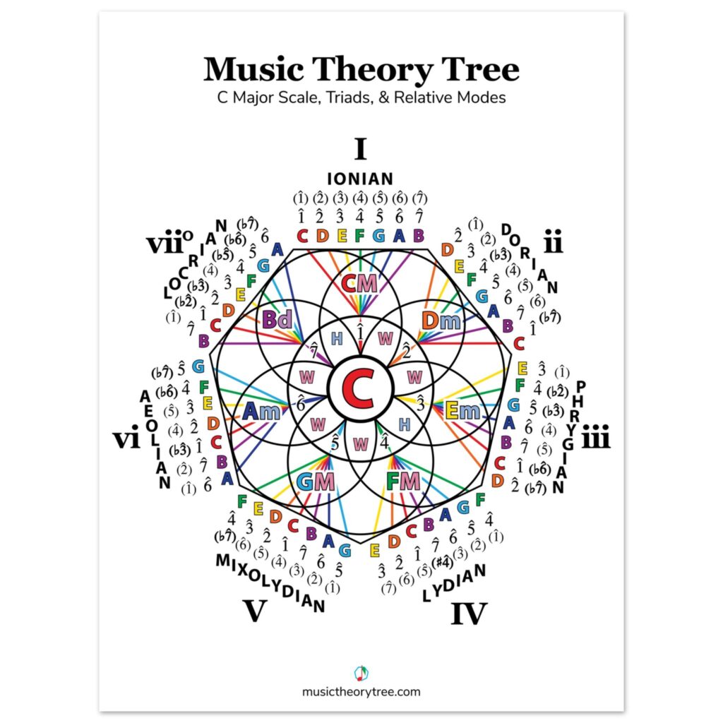 Single-Orbit C Major Music Theory Tree Poster (White)